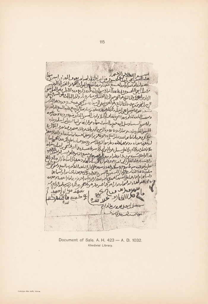 An illustration from Arabic palaeography : a collection of Arabic texts from the first century of the Hidjra till the year 1000, 1905, leaf 241