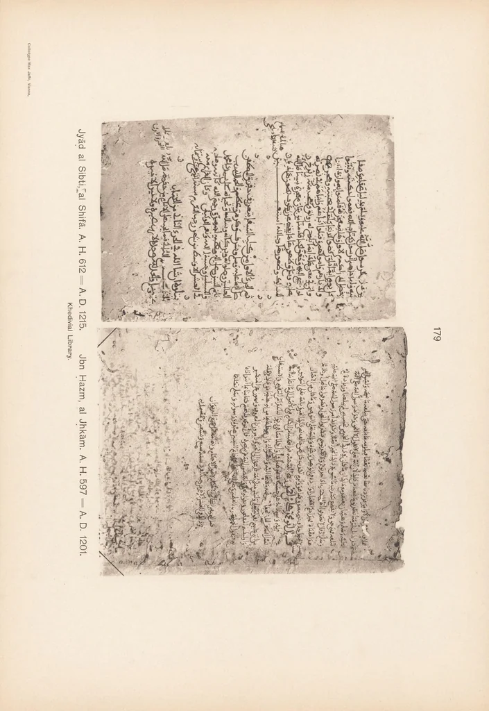 An illustration from Arabic palaeography : a collection of Arabic texts from the first century of the Hidjra till the year 1000, 1905, leaf 369