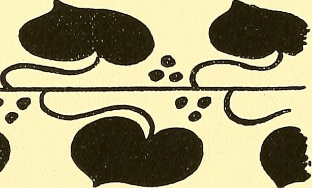 An illustration from Arbor vitae : a book on the nature & development of imaginative design for the use of teachers, handicraftsmen & others, 1910, leaf 100