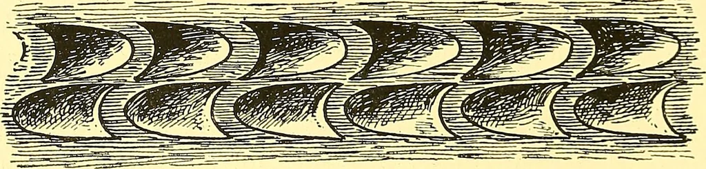 An illustration from Arbor vitae : a book on the nature & development of imaginative design for the use of teachers, handicraftsmen & others, 1910, leaf 131