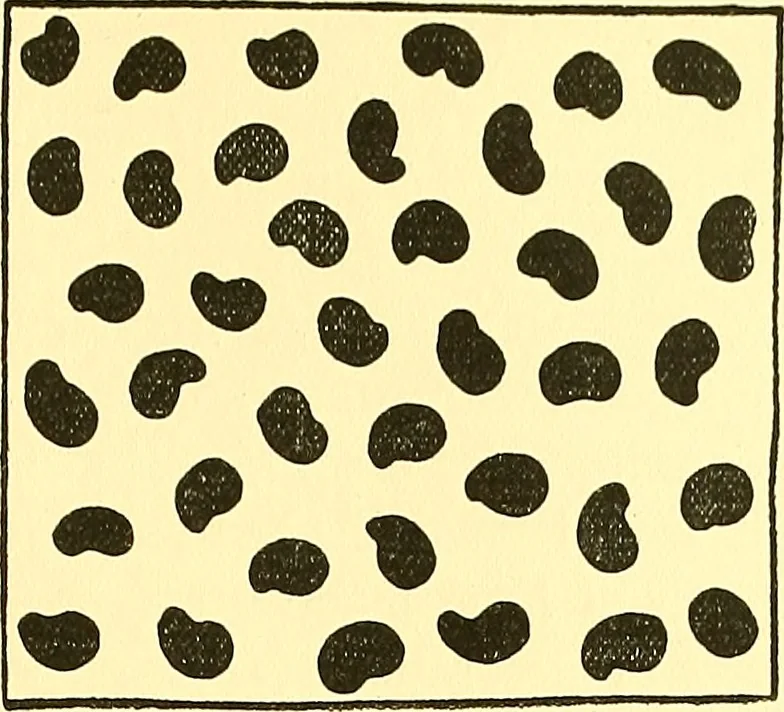 An illustration from Arbor vitae : a book on the nature & development of imaginative design for the use of teachers, handicraftsmen & others, 1910, leaf 52