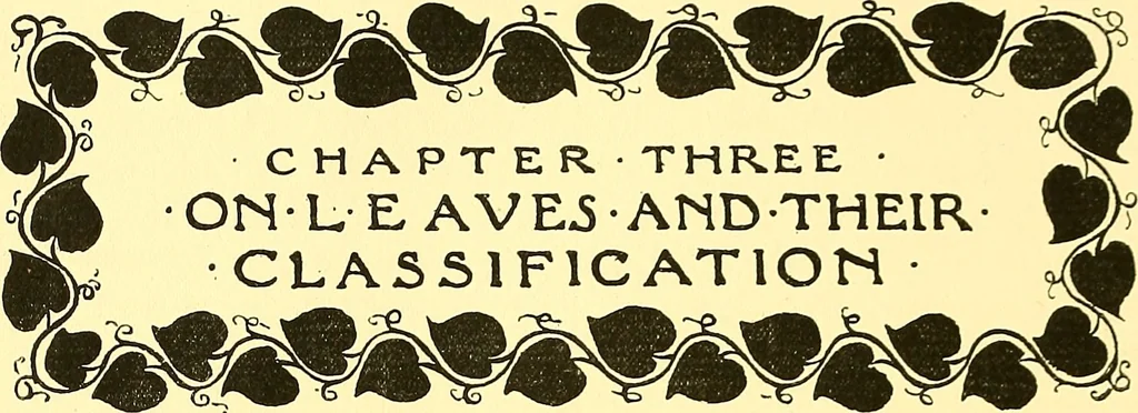 An illustration from Arbor vitae : a book on the nature & development of imaginative design for the use of teachers, handicraftsmen & others, 1910, leaf 55