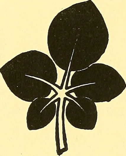 An illustration from Arbor vitae : a book on the nature & development of imaginative design for the use of teachers, handicraftsmen & others, 1910, leaf 62