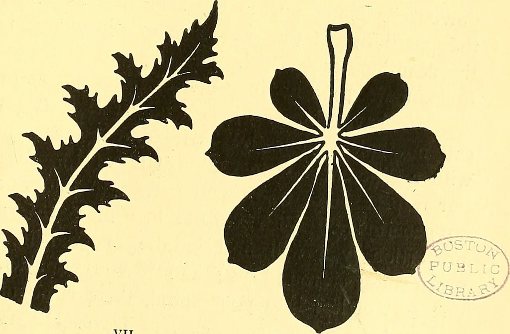 An illustration from Arbor vitae : a book on the nature & development of imaginative design for the use of teachers, handicraftsmen & others, 1910, leaf 62