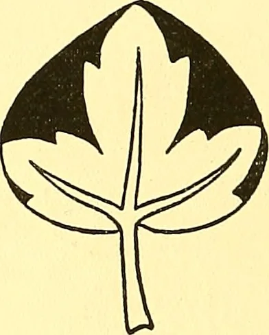 An illustration from Arbor vitae : a book on the nature & development of imaginative design for the use of teachers, handicraftsmen & others, 1910, leaf 63
