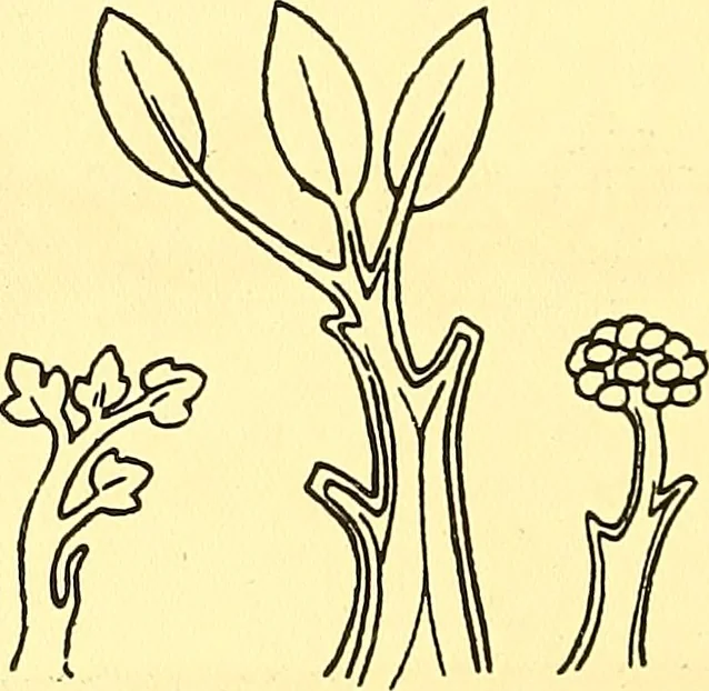An illustration from Arbor vitae : a book on the nature & development of imaginative design for the use of teachers, handicraftsmen & others, 1910, leaf 71