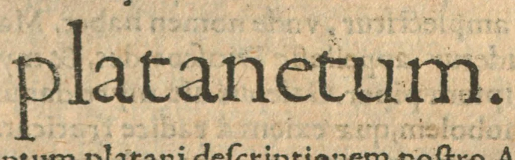 An illustration from Arbustum ; Fonticulus ; Spinetum, 1542, leaf 32