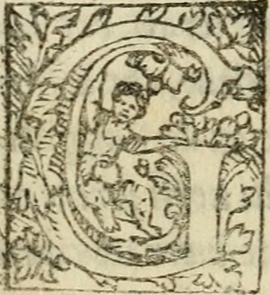 An illustration from Arcadia di messer Giacomo Sannazaro nobile napolitano, 1548, leaf 7