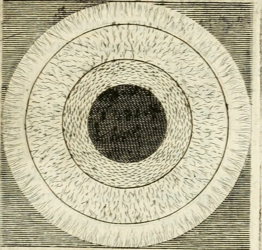 An illustration from Archaelogiae philosophicae : sive, doctrina antiqua de rerum originibus, libri duo, 1692, leaf 200