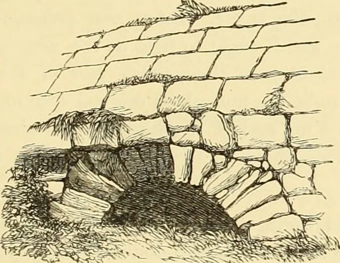 An illustration from Archaeological essays, 1872, leaf 114