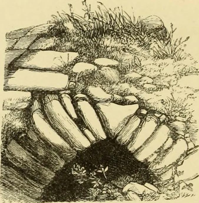 An illustration from Archaeological essays, 1872, leaf 121