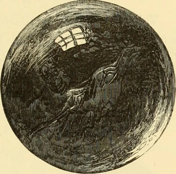 An illustration from Archaeological essays, 1872, leaf 240