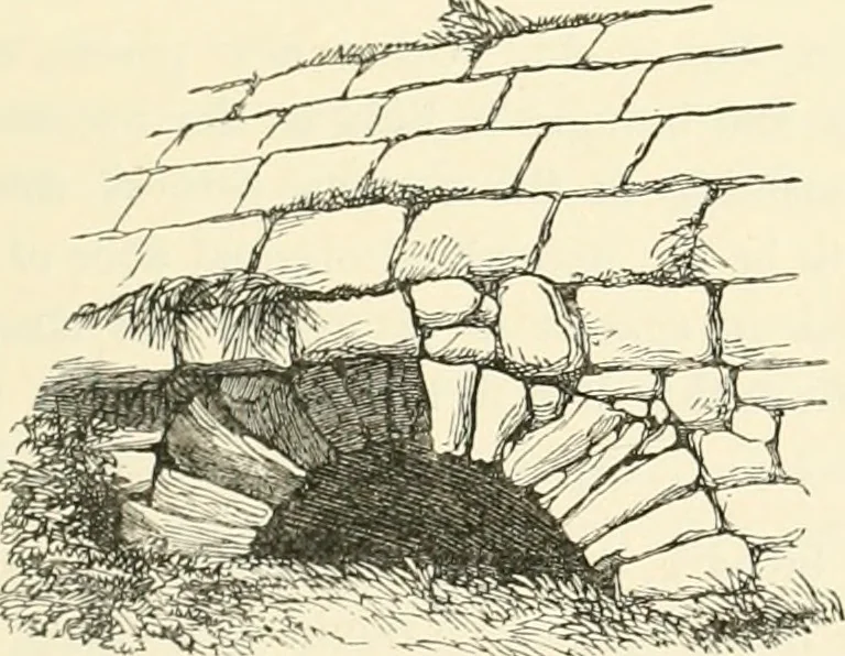 An illustration from Archaeological essays, 1872, leaf 114