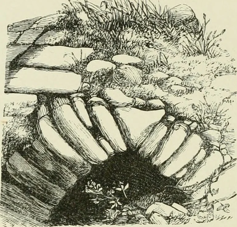 An illustration from Archaeological essays, 1872, leaf 121