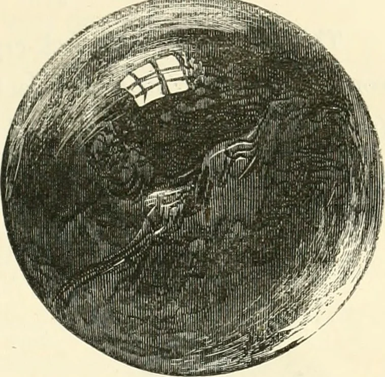An illustration from Archaeological essays, 1872, leaf 240