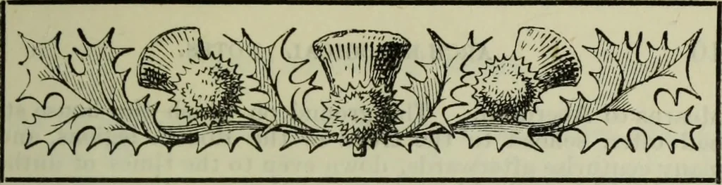 An illustration from Archaeological notes on early Scotland : relating more particularly to the Stracathro district of Strathmore in Angus ; also some account of local antiquities and place names, with map, plan, and appendix, 1896, leaf 14