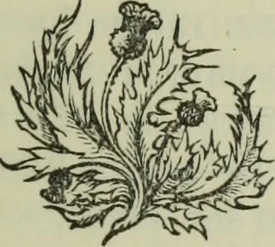An illustration from Archaeological notes on early Scotland : relating more particularly to the Stracathro district of Strathmore in Angus ; also some account of local antiquities and place names, with map, plan, and appendix, 1896, leaf 38