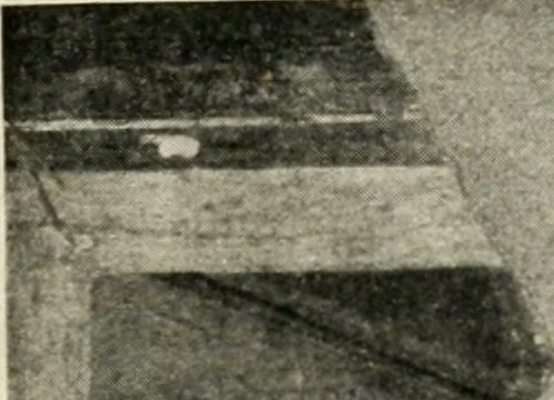 An illustration from Archaeologische Hermeneutik; Anleitung zur Deutung klassischer Bildwerke, 1919, leaf 102