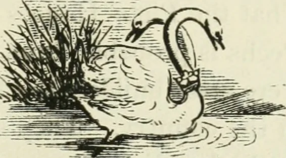 An illustration from Archaic England, an essay in deciphering prehistory from megalithic monuments, earthworks, customs, coins, placenames, and faeric superstitions, 1919, leaf 254