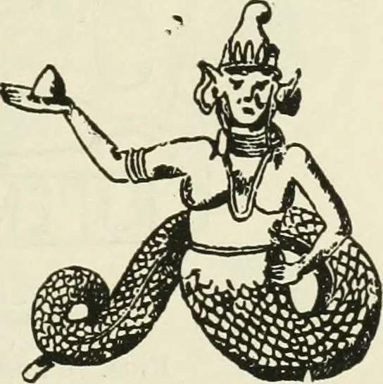 An illustration from Archaic England, an essay in deciphering prehistory from megalithic monuments, earthworks, customs, coins, placenames, and faeric superstitions, 1919, leaf 264
