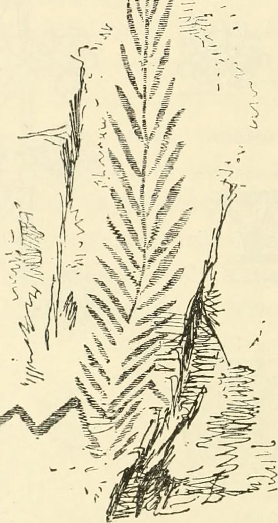 An illustration from Archaic England, an essay in deciphering prehistory from megalithic monuments, earthworks, customs, coins, placenames, and faeric superstitions, 1919, leaf 271
