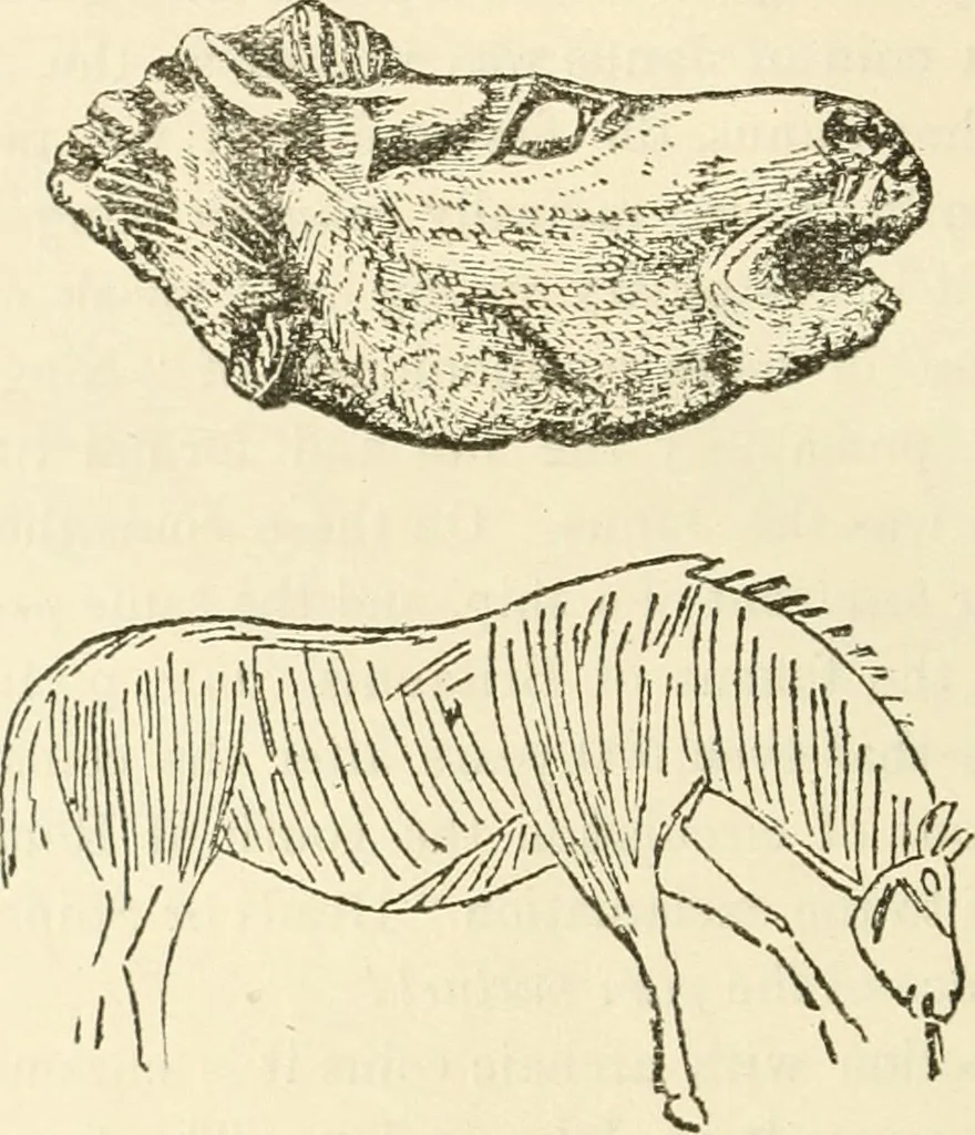 An illustration from Archaic England, an essay in deciphering prehistory from megalithic monuments, earthworks, customs, coins, placenames, and faeric superstitions, 1919, leaf 411