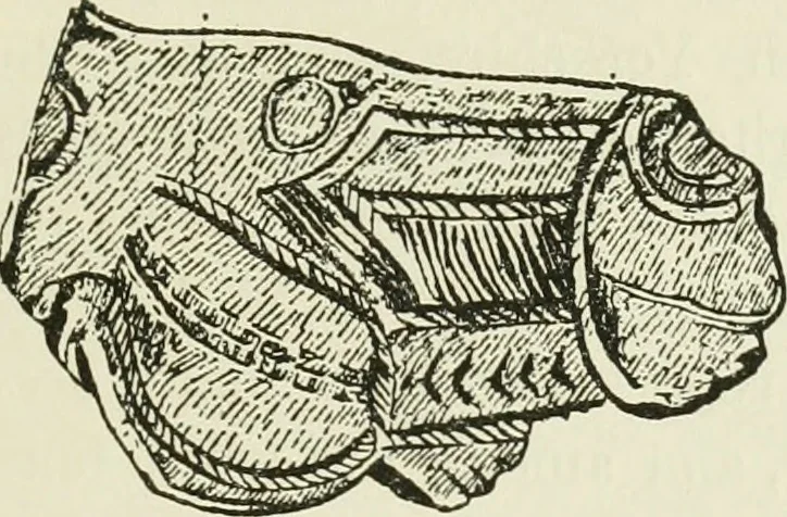 An illustration from Archaic England, an essay in deciphering prehistory from megalithic monuments, earthworks, customs, coins, placenames, and faeric superstitions, 1919, leaf 412
