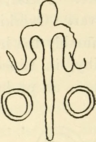 An illustration from Archaic England, an essay in deciphering prehistory from megalithic monuments, earthworks, customs, coins, placenames, and faeric superstitions, 1919, leaf 509