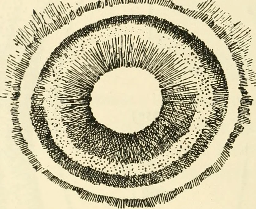 An illustration from Archaic England, an essay in deciphering prehistory from megalithic monuments, earthworks, customs, coins, placenames, and faeric superstitions, 1919, leaf 547