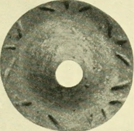 An illustration from Archaic England, an essay in deciphering prehistory from megalithic monuments, earthworks, customs, coins, placenames, and faeric superstitions, 1919, leaf 548
