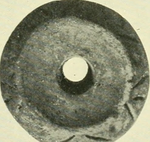 An illustration from Archaic England, an essay in deciphering prehistory from megalithic monuments, earthworks, customs, coins, placenames, and faeric superstitions, 1919, leaf 548