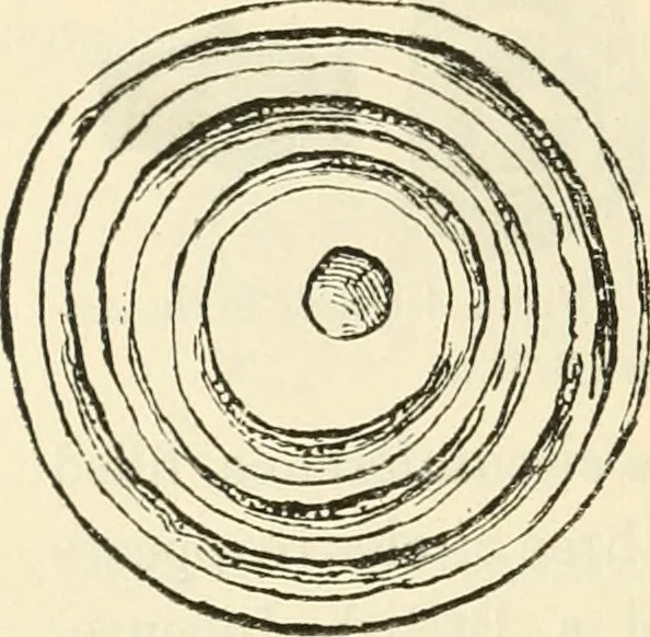 An illustration from Archaic England, an essay in deciphering prehistory from megalithic monuments, earthworks, customs, coins, placenames, and faeric superstitions, 1919, leaf 597