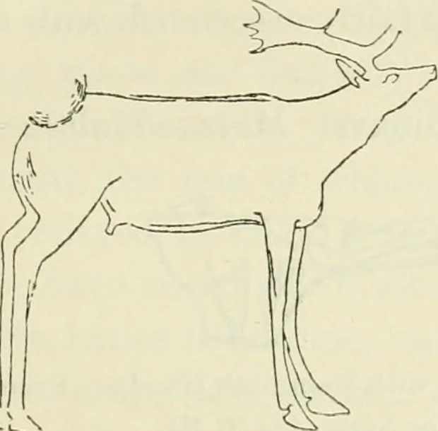 An illustration from Archaic England, an essay in deciphering prehistory from megalithic monuments, earthworks, customs, coins, placenames, and faeric superstitions, 1919, leaf 616