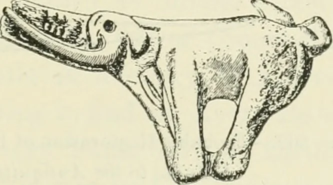 An illustration from Archaic England, an essay in deciphering prehistory from megalithic monuments, earthworks, customs, coins, placenames, and faeric superstitions, 1919, leaf 616
