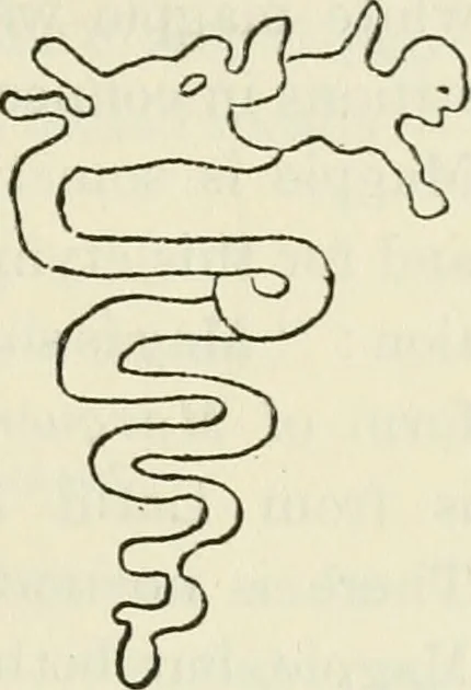 An illustration from Archaic England, an essay in deciphering prehistory from megalithic monuments, earthworks, customs, coins, placenames, and faeric superstitions, 1919, leaf 674