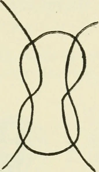 An illustration from Archaic England, an essay in deciphering prehistory from megalithic monuments, earthworks, customs, coins, placenames, and faeric superstitions, 1919, leaf 726