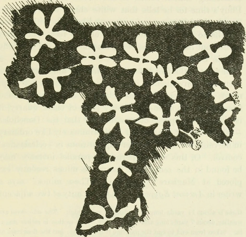 An illustration from Archaic England, an essay in deciphering prehistory from megalithic monuments, earthworks, customs, coins, placenames, and faeric superstitions, 1919, leaf 796