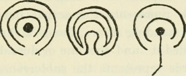 An illustration from Archaic England, an essay in deciphering prehistory from megalithic monuments, earthworks, customs, coins, placenames, and faeric superstitions, 1919, leaf 862