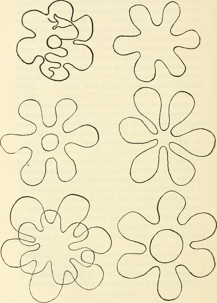 An illustration from Archaic England, an essay in deciphering prehistory from megalithic monuments, earthworks, customs, coins, placenames, and faeric superstitions, 1919, leaf 865