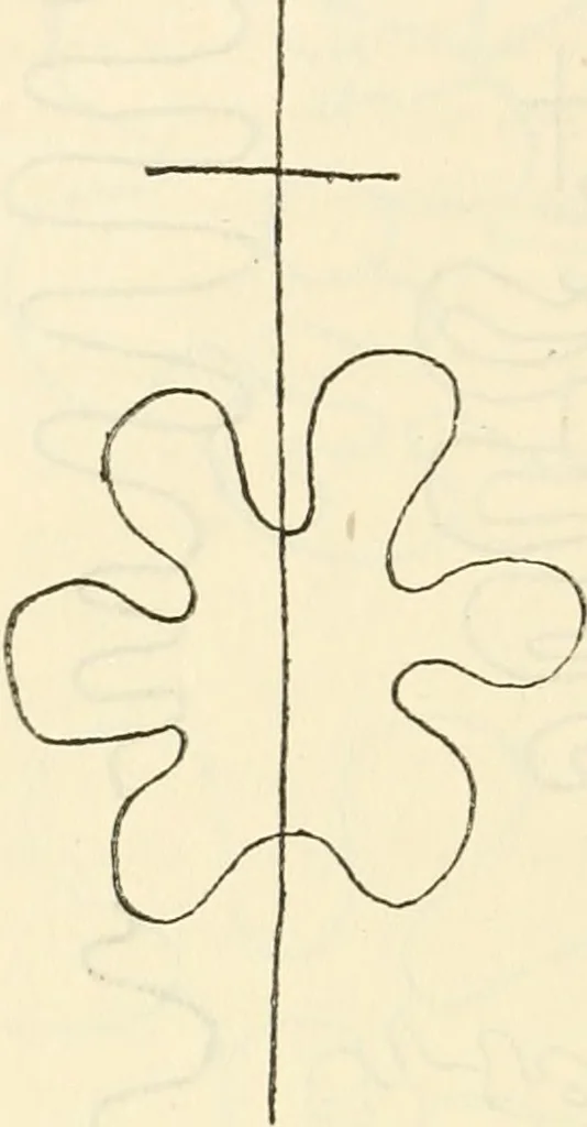 An illustration from Archaic England, an essay in deciphering prehistory from megalithic monuments, earthworks, customs, coins, placenames, and faeric superstitions, 1919, leaf 867