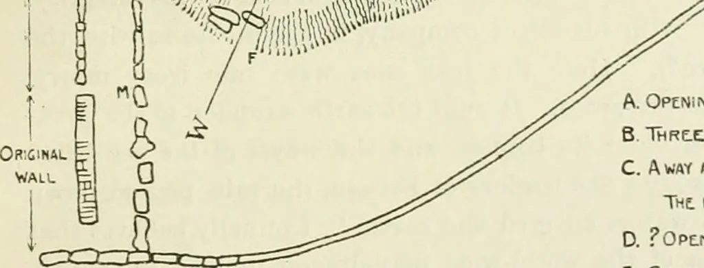An illustration from Archaic England, an essay in deciphering prehistory from megalithic monuments, earthworks, customs, coins, placenames, and faeric superstitions, 1919, leaf 892