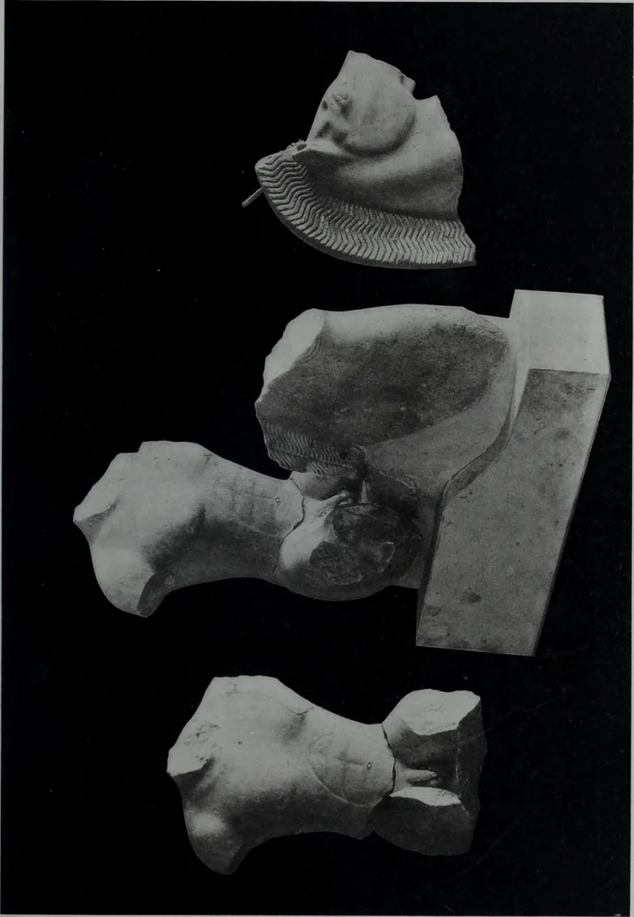 An illustration from Archaiologik ephmeris : ekdidomen hypo ts en Athnais Archaiologiks Hetairias, 1862, leaf 122