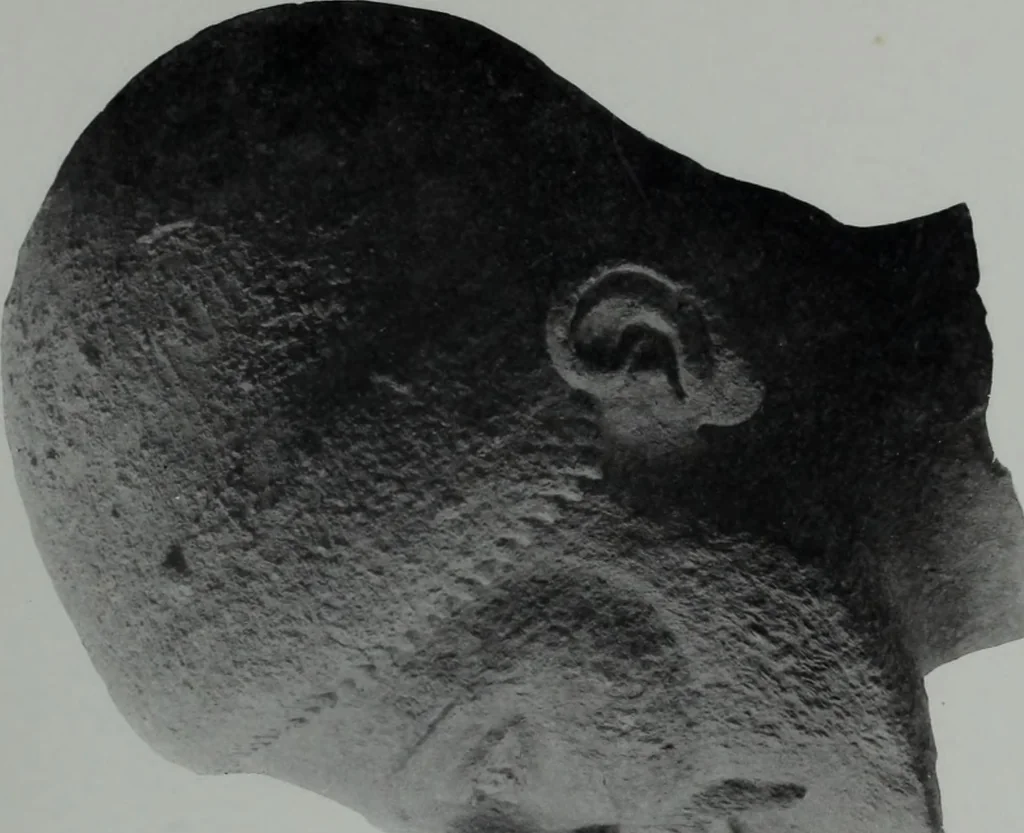 An illustration from Archaiologik ephmeris : ekdidomen hypo ts en Athnais Archaiologiks Hetairias, 1862, leaf 124