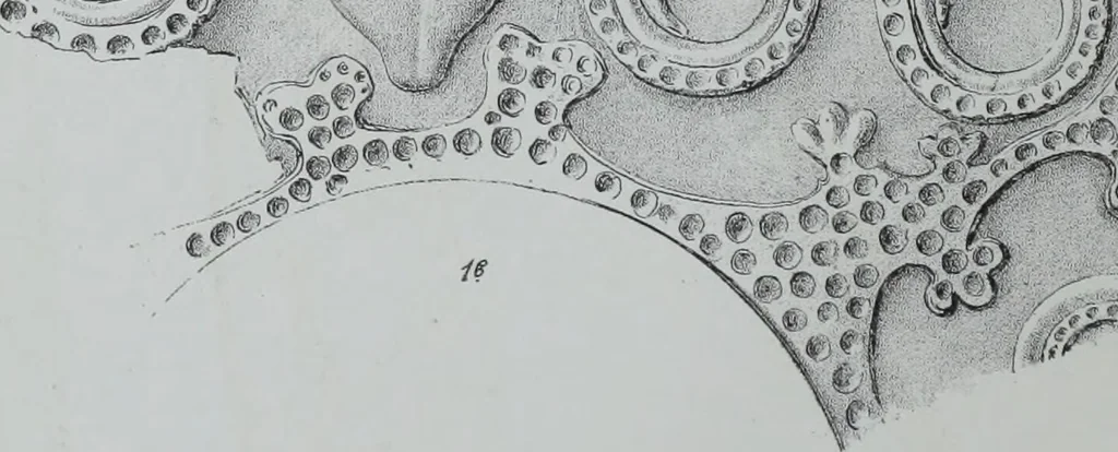 An illustration from Archaiologik ephmeris : ekdidomen hypo ts en Athnais Archaiologiks Hetairias, 1862, leaf 279