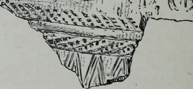 An illustration from Archaiologik ephmeris : ekdidomen hypo ts en Athnais Archaiologiks Hetairias, 1862, leaf 173