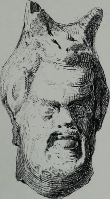 An illustration from Archaiologik ephmeris : ekdidomen hypo ts en Athnais Archaiologiks Hetairias, 1862, leaf 278
