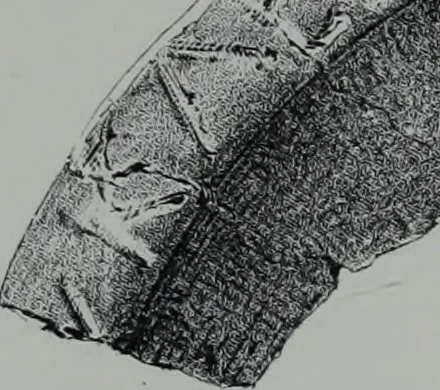 An illustration from Archaiologik ephmeris : ekdidomen hypo ts en Athnais Archaiologiks Hetairias, 1862, leaf 278