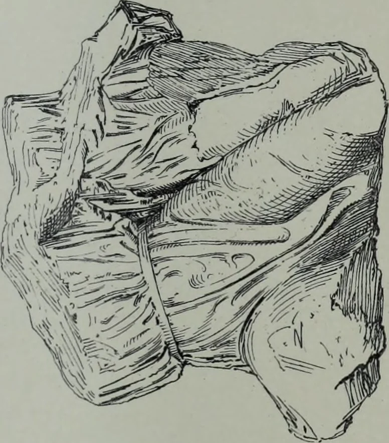 An illustration from Archaiologik ephmeris : ekdidomen hypo ts en Athnais Archaiologiks Hetairias, 1862, leaf 150