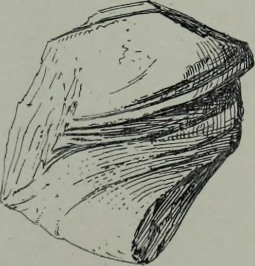 An illustration from Archaiologik ephmeris : ekdidomen hypo ts en Athnais Archaiologiks Hetairias, 1862, leaf 150
