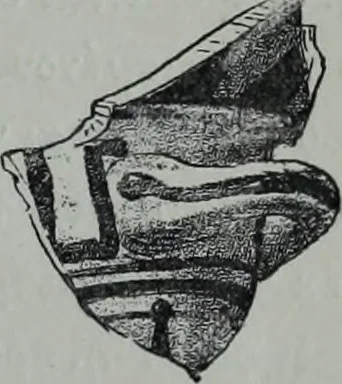 An illustration from Archaiologik ephmeris : ekdidomen hypo ts en Athnais Archaiologiks Hetairias, 1862, leaf 172
